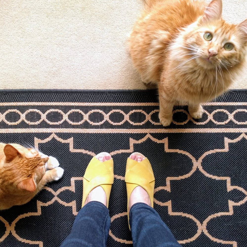 Bryr high heel clogs in Saffron yellow